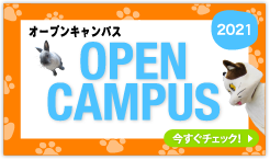 オープンキャンパス 2012 OPEN CAMPUS 今すぐチェック！
